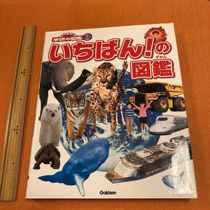 図鑑 いちばんの図鑑 美品 学研 送料無料