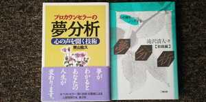 プロカウンセラーの夢分析　東山紘久　心の扉をノックする夢分析　滝沢清人　２冊セット　まとめ売り　送料無料