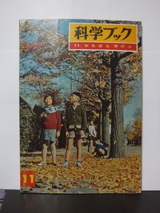 中級 科学ブック 11. おちばと木のみ 世界文化社 /中古本!!