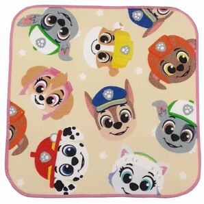 パウパトロール ミニタオル D