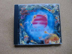 ＊The Lightning Seeds／Sense（MCAD10388）（輸入盤）