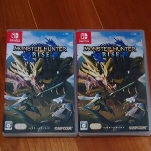 Nintendo Switch モンスターハンターライズ 2本セット