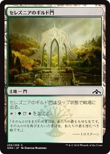 MTG ■土地/日本語版■ 《セレズニアのギルド門/Selesnya Guildgate》ラヴニカのギルド GRN