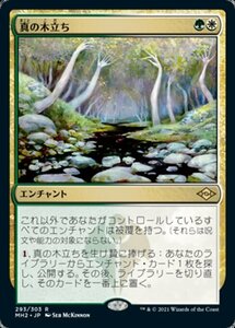 MTG ■金/日本語版■ 《真の木立ち/Sterling Grove》モダンホライゾン２ MH2