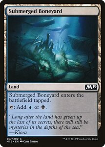 MTG ■土地/英語版■ 《水没した骨塚/Submerged Boneyard》★FOIL★ 基本セット2019 M19