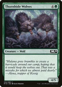 MTG ■緑/英語版■ 《茨隠れの狼/Thornhide Wolves》 基本セット2019 M19