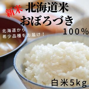 【希少品種】北海道米　おぼろづき　白米　5kg 新米　お米