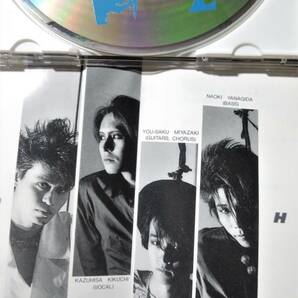 廃盤 Voiss - Zero Hour // ボイス / ゼロ・アワー Psycho Records 1989の画像4
