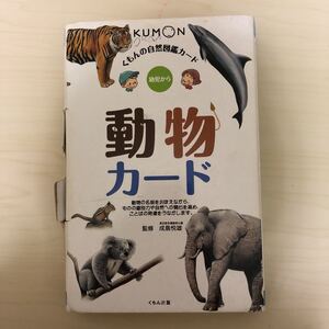 くもんの自然図鑑カード 動物カード 幼児から
