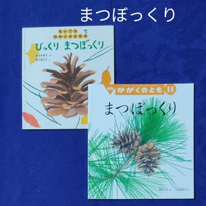 かがくのとも　 ちいさなかがくのとも　まつぼっくり　2冊セット　 福音館