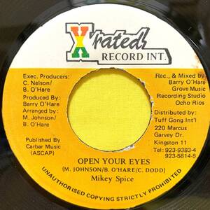 EP■Mikey Spice■Open Your Eyes■Jamaica■即決■洋楽■レコード