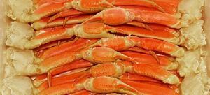 g[ free shipping ] Boyle snow crab 3L5kg. entering eminent!