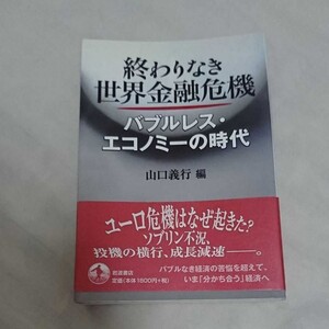 終わりなき世界金融危機 : バブルレス・エコノミーの時代 山口 義行