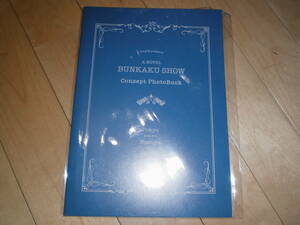 演劇パンフレット//a Novel 文書 く show//BUNKAKU SHOW Consept PhotoBook//西銘駿/小島藤子/上西恵/大平峻也/伊崎龍次郎/高見奈央