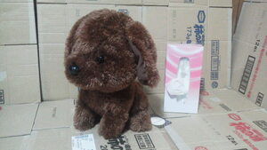 トイプードル BIG ぬいぐるみ (株)スマイルカンパニー　ブラウン　犬 35cm 送料510円