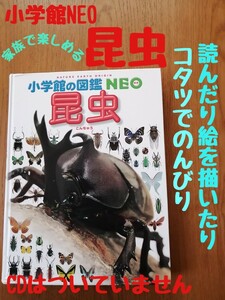 中古 小学館の図鑑NEO 昆虫