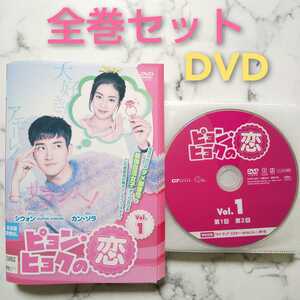 シウォン★カン・ソラ『ピョン・ヒョクの恋』レンタル落ちDVD★全巻★韓国ドラマ
