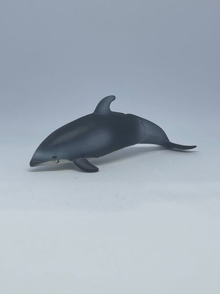 旧盤 アニア カマイルカ AS-19 水には浮かばないタイプ