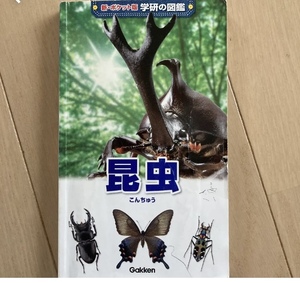 昆虫 本