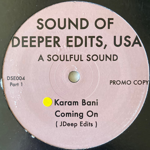 【US / 12inch】 V.A. / Karam Bani 【Buari / Bobby Womack / Mandrill / Ingram / Sound Of Deeper Edits / DSE004】