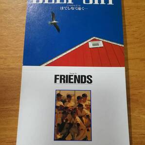 8cmシングルCD「DEEP SKY / はてしなく遠く・・・ Song by FRIENDS」 オロナミンC/巨人/ジャイアンツ/ディープ・スカイ/フレンズ