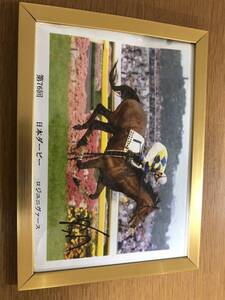 競馬日本ダービーロジユニヴァース横山典弘デジタルフォト額入り新品の未使用品サイン入り