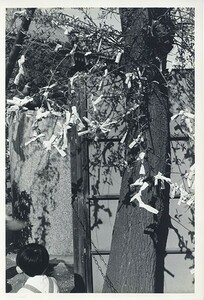 木村伊兵衛プリント「浅草　16119」　ゼラチンシルバープリント　裏面に題、ナンバー　30.5×20.5