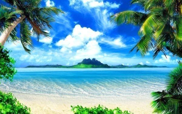 ハワイ マウイ島のビーチと島々 ヤシの木 海 絵画風 壁紙ポスター 特大ワイド版921×576mm(はがせるシール式)061W1, 印刷物, ポスター, その他
