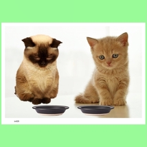 ^ 全部食べちゃってごめん iv429 A4プリント アート 現代美術 猫 ごめんねこ ニャン ニャンコ にゃんこ ねこあそび ねこ ネコタン funny_画像2