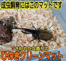 カブトムシの成虫飼育専用☆爽やかな香りの針葉樹クリーンマット☆コバエ、ダニが湧きません！ケース内が明るくなり生体がかっこ良く見える_画像2