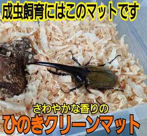 カブトムシの成虫飼育専用☆爽やかな香りの針葉樹クリーンマット☆コバエ、ダニが湧きません！ケース内が明るくなり生体がかっこ良く見える