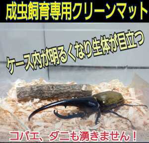 カブトの成虫飼育専用☆ふわふわ針葉樹クリーンマット50リットル☆コバエ、ダニが湧かない☆ケース内が明るくなり生体がかっこ良く見える