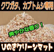 クワガタの成虫飼育専用☆爽やかな香りの針葉樹クリーンマット☆コバエ、ダニが湧きません！ケース内が明るくなり生体がかっこ良く見える_画像2