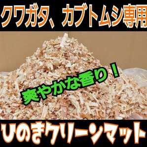 カブトムシの成虫飼育専用☆爽やかな香りの針葉樹クリーンマット☆コバエ、ダニが湧きません！ケース内が明るくなり生体がかっこ良く見えるの画像3