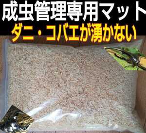 カブトムシの成虫飼育専用☆爽やかな香りの針葉樹クリーンマット☆コバエ、ダニが湧きません！ケース内が明るくなり生体がかっこ良く見える