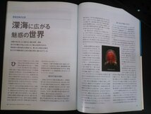 Ba1 01535 NATIONAL GEOGRAPHIC SPECIAL 創刊15周年スペシャル 特別編集版 ナショナルジオグラフィック ワールドイズブルー 未知なる海 他_画像3