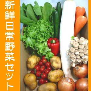 さんきん〓さんきん新鮮日常野菜セット！