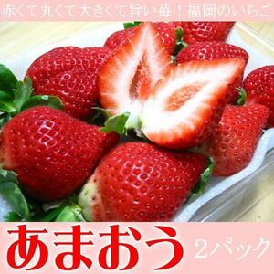 さんきん〓福岡県産 いちご イチゴ 苺 あまおう 2パック入
