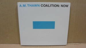 CD★A.M. ソーン★ジャーマン・ロック・トリオ★A.M. Thawn Coalition: Now★未開封★4枚同梱可能