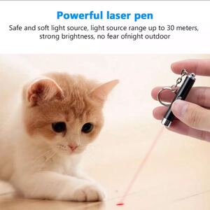 LEDポインター 猫のおもちゃ レーザーポインター 青