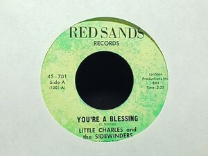 Little Charles And The Sidewinders - You're A Blessing / Please Open Up The Door