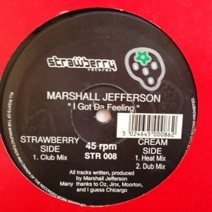 12inchレコード MARSHALL JEFFERSON / I GOT DA FEELING