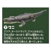 タカラトミーアーツ 自然科学シリーズ ARTSROID 動物の世界 ANIMAL WORLD ワニ 食玩 デスクトップ フィギュア_画像1