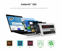 新品$即決!SSD 256GB Goldenfir SATA3 / 6.0Gbps 未開封 ノートPC デスクトップPC 内蔵型 パソコン 2.5インチ 高速 NAND TLC_画像8