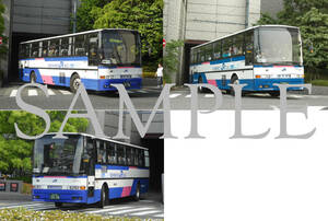 D【バス写真】L版3枚　西日本JRバス　スペースアローユーロツアー