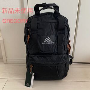 未使用 GREGORY グレゴリー バックパック リュックサック イージーピージーディ