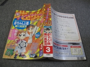 FSLe1994/01/20：花とゆめ/羅川真里茂/由貴香織里/日渡早紀/仲村佳樹/山口美由紀/立野真琴/山田南平/高橋由紀/遠藤淑子/山中音和