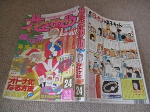 FSLe1994/12/05：花とゆめ/山田南平/日渡早紀/立野真琴/由貴香織里/山中音和/那州雪絵/加藤知子/川原泉/河内深雪/和田慎二