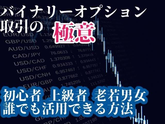 最速のネット通販 バイナリーオプションの完全個別対応します！生徒