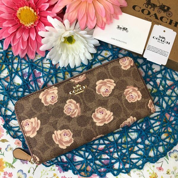 COACH 長財布 シグネチャー ブラウン バラ 薔薇